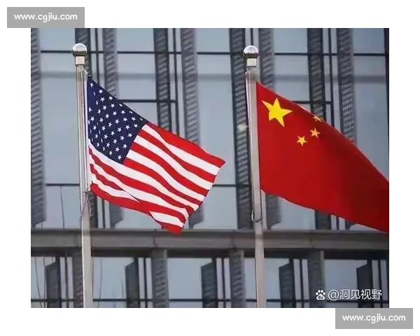 恰尔汗奥卢妻子发声：忠诚背后的利益博弈